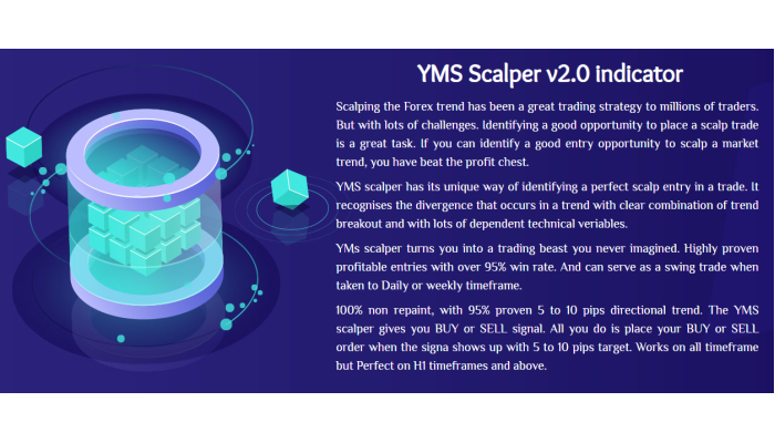 YMS Scalper v2.0