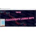 FXACCCURATE LARNA MT4
