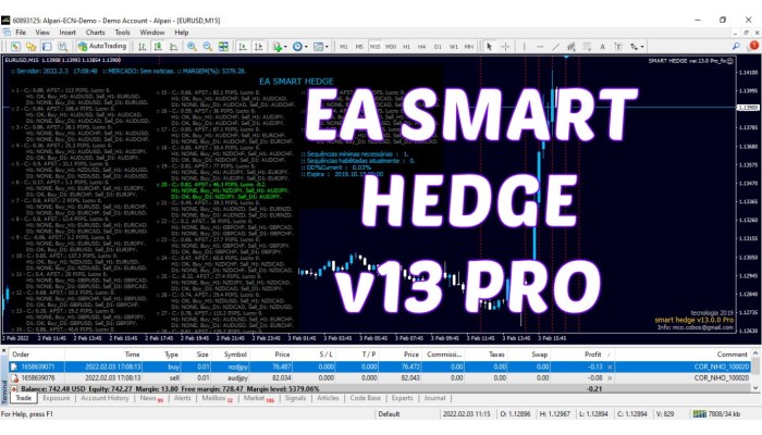 SMART HEDGE v13 Pro