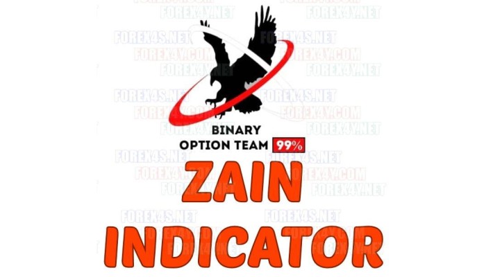 ZAIN V1 2022