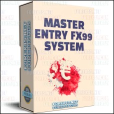 MASTER ENTRY FX99 SYSTEM