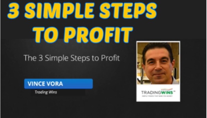 3 Simple Steps To Profit by Vince Vora