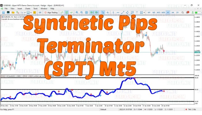 SYNTHETIC PIPS TERMINATOR (SPT) MT5