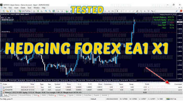 HEDGING FOREX EA1 X1 v1.0