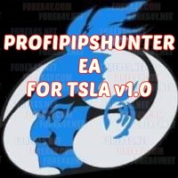 PROFIPIPSHUNTER EA FOR TSLA v1.0