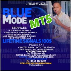 BLUE MODE SYSTEM MT5