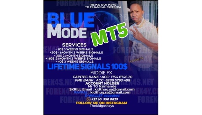 BLUE MODE SYSTEM MT5