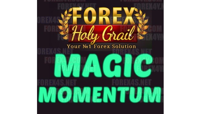 FHG MAGIC MOMENTUM D1