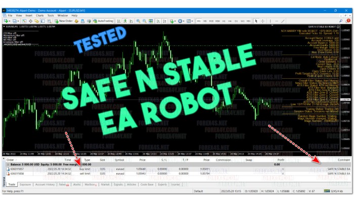 SAFE N STABLE EA ROBOT