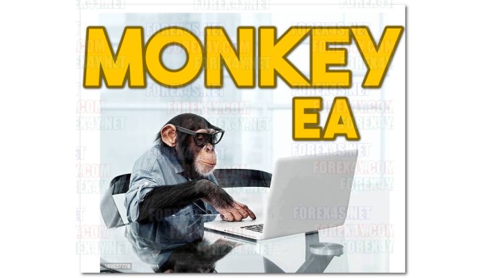 MONKEY EA EURUSD