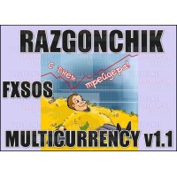 FXSOS RAZGONCHIK MULTICURRENCY v1.1