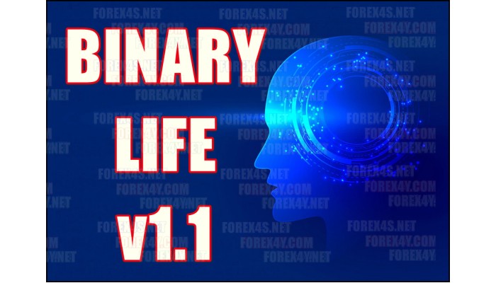 BINARY LIFE v1.1 (No Repaint)