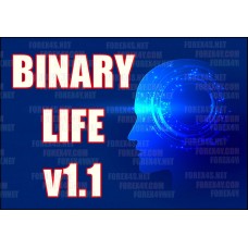 BINARY LIFE v1.1 (No Repaint)
