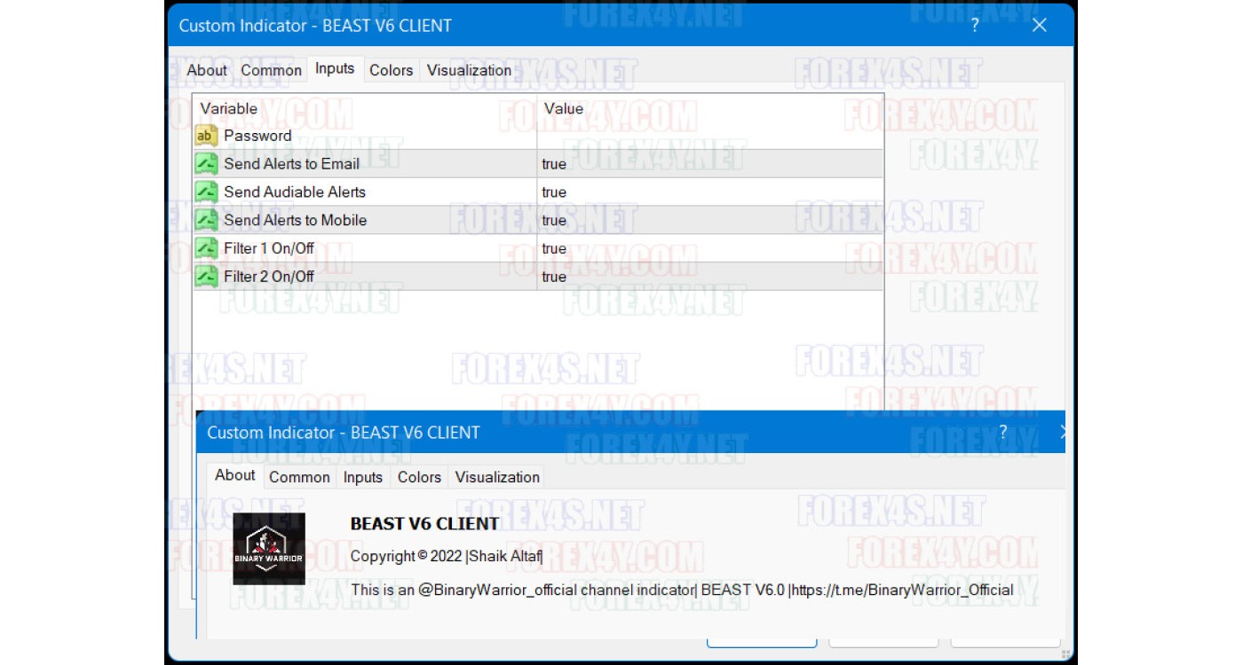 BINARY WARRIOR BEAST v6.1
