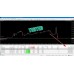 ROYAL HEDGE FUND EA