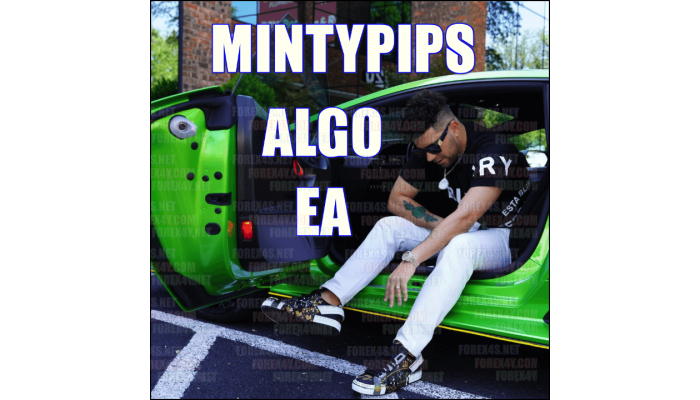 MINTYPIPS ALGO EA v1
