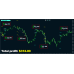 ORACLE SCALPER + MANAGER