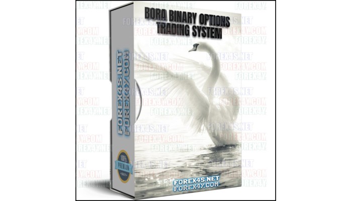 BORA BINARY OPTIONS TRADING SYSTEM
