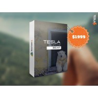 TESLAEASOFT BEAR SYSTEM v1.0