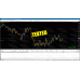 FOREX FLARE v2.0