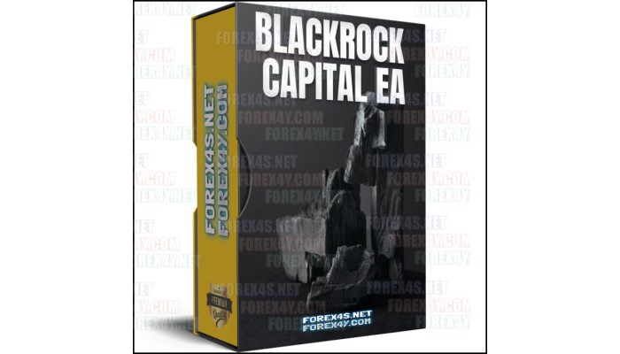 BLACKROCK CAPITAL EA
