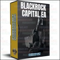 BLACKROCK CAPITAL EA
