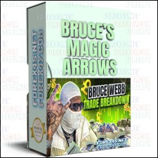 BRUCE’S MAGIC ARROWS (No Repaint)