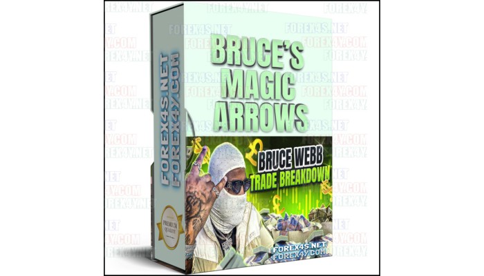 BRUCE’S MAGIC ARROWS (No Repaint)