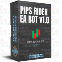 PIPS RIDER EA BOT v1.0
