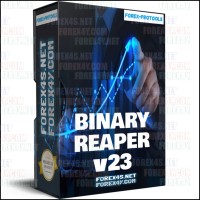 BINARY REAPER v23