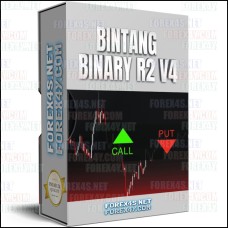BINTANG BINARY R2 V4 (No Repaint)