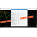 ARBITRAGE EA V2.0 (Source Code MQ4)