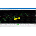 RAPID PIP ENGINE  2024