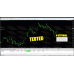 ROYAL HEDGE FUND EA v2
