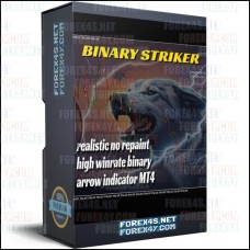 BINARY STRIKER 