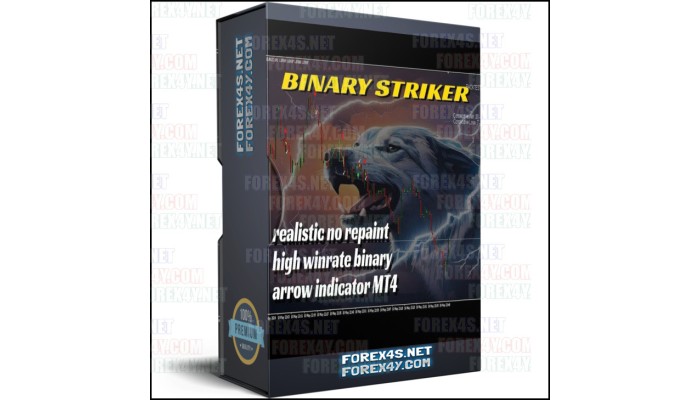 BINARY STRIKER 