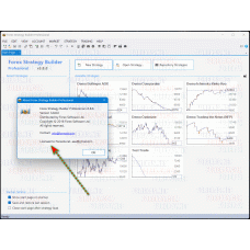 FOREX STRATEGY BUILDER PROFESSIONAL v3.8.8
