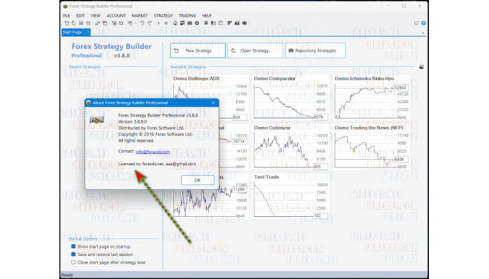 FOREX STRATEGY BUILDER PROFESSIONAL v3.8.8