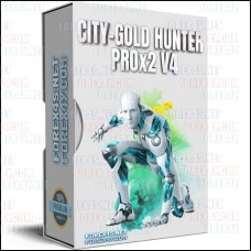 CITY-GOLD HUNTER PROx2 V4