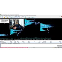 INVICTUS STRATEGY v2