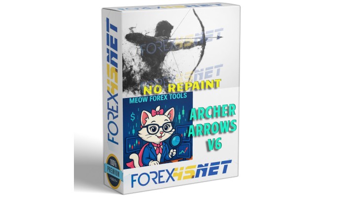 ARCHER ARROWS V6 (No Repaint)