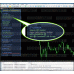CAPITALX v1.8 MT5